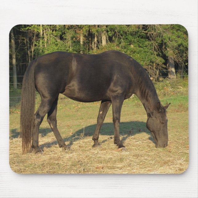Tennessee Walking Horse Mare mouse pad (Front)