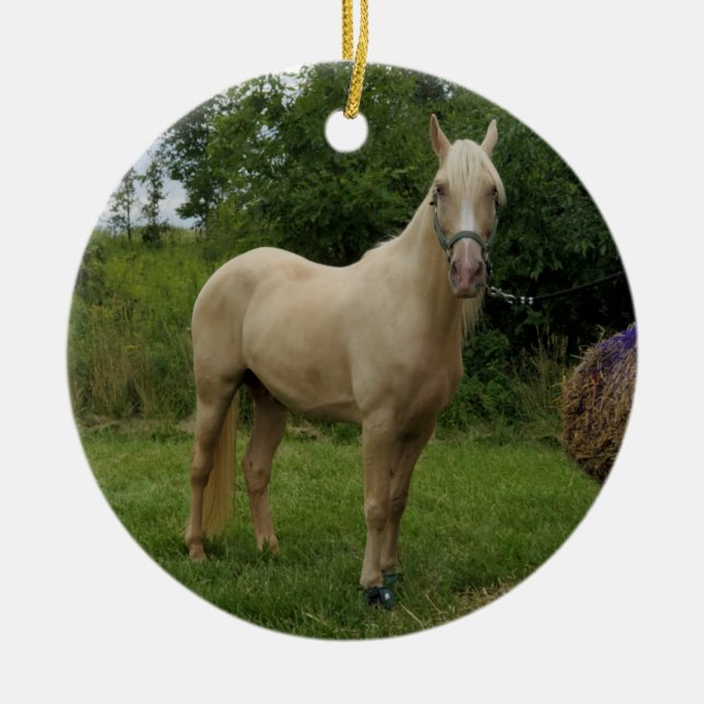 Tennessee Walking Horse ornament (Front)