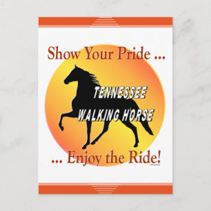 Tennessee Walking Horse Show Your Pride Postcard
