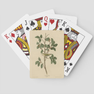Tennessee Warbler, from Audubon's Birds of America Playing Cards