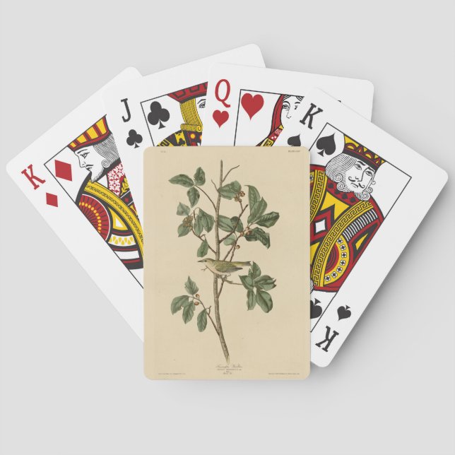 Tennessee Warbler, from Audubon's Birds of America Playing Cards (Back)