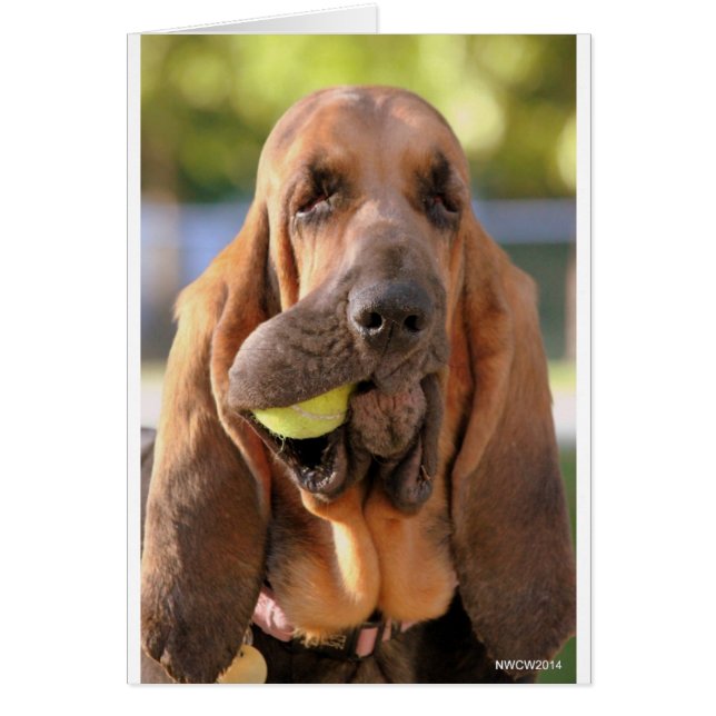 Tennis, anyone? (Front)