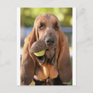 Tennis, anyone? postcard