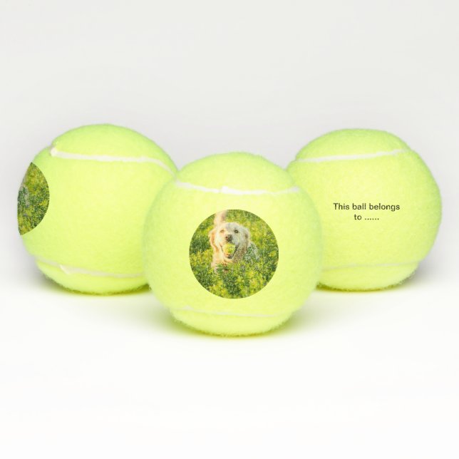 Tennis ball for dog with picture and name (Multi)