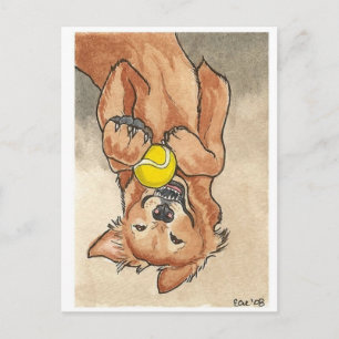 Tennis Ball Fun Golden Retriever Dog Art Postcard