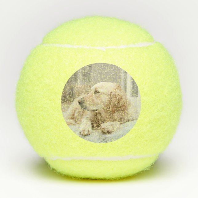 Tennis ball with image of golden retriever (Front)