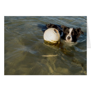Tennis balls are for weaklings!