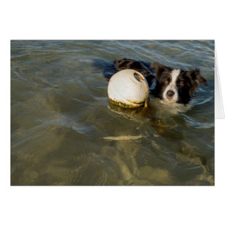 Tennis balls are for weaklings!