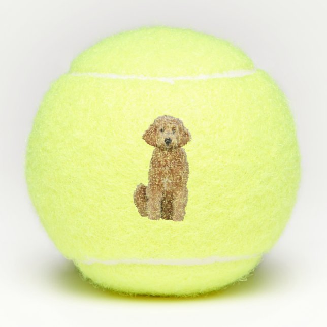 Tennis balls w/ golden doodle (Front)