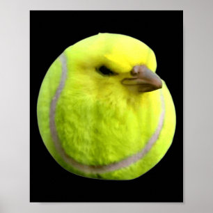 Tennis Bird Meme Round Budgie Tennis Ball  Poster