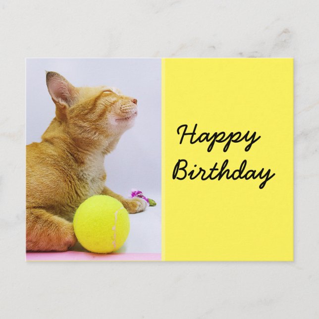 Tennis birthday card with ginger cat and ball (Front)