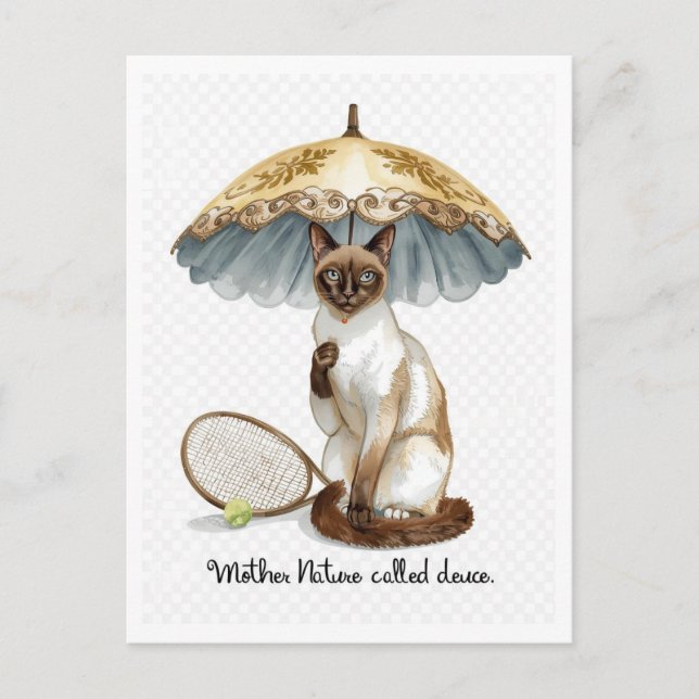 Tennis Funny Saying for Cat Lovers Postcard (Front)
