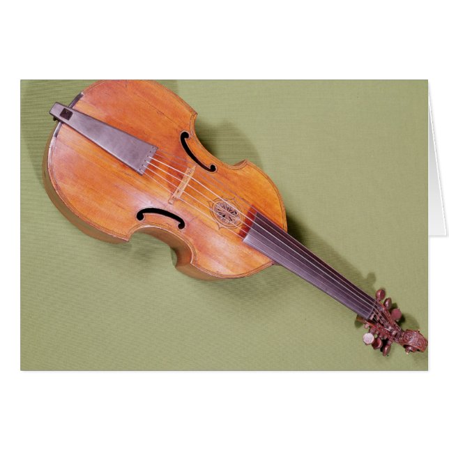 Tenor viol, 1667 (Front Horizontal)