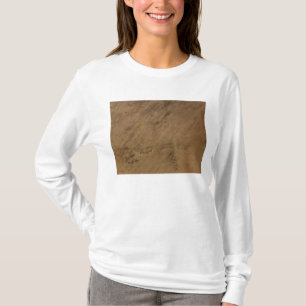Tenoumer Crater in Mauritania T-Shirt
