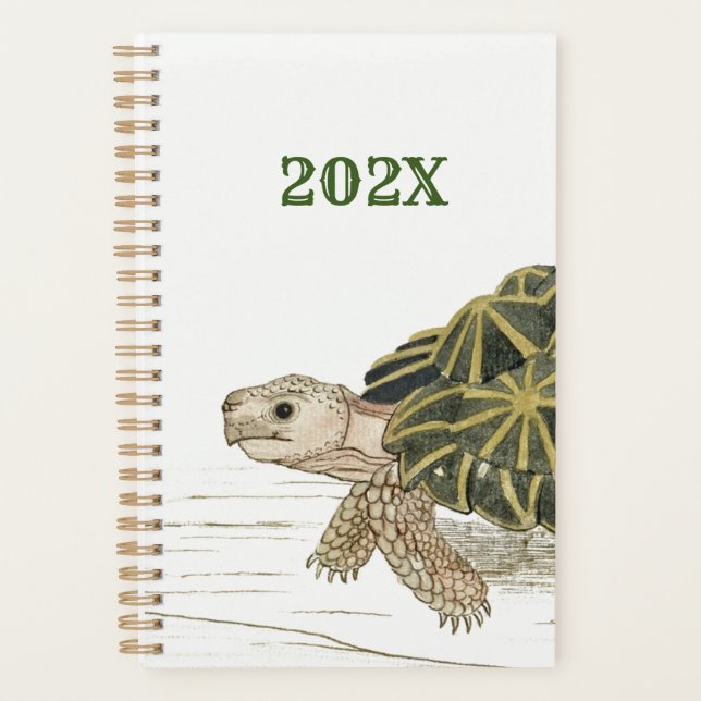 Tent Tortoise | Turtle Beach Sea Animal Jigsaw Planner (Front)