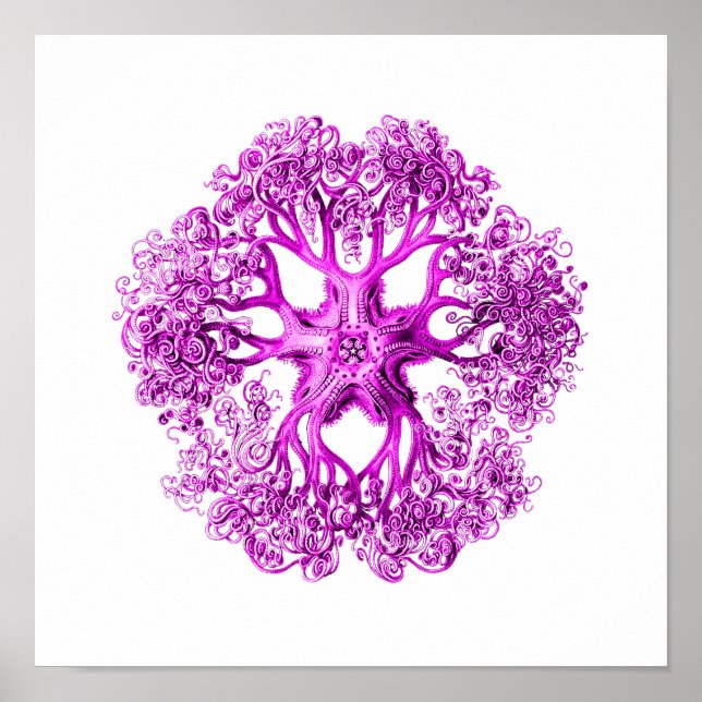 Tentacle Section in Pink Poster (Front)