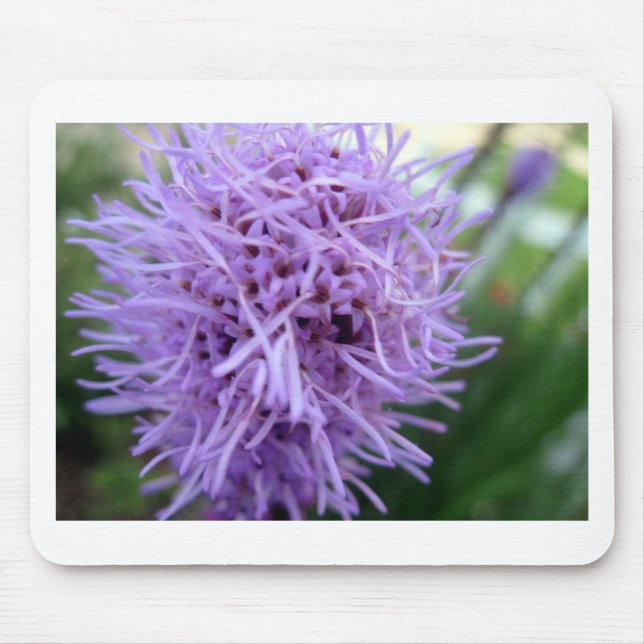 Tentacle Spider Violet Flower Mouse Mat (Front)