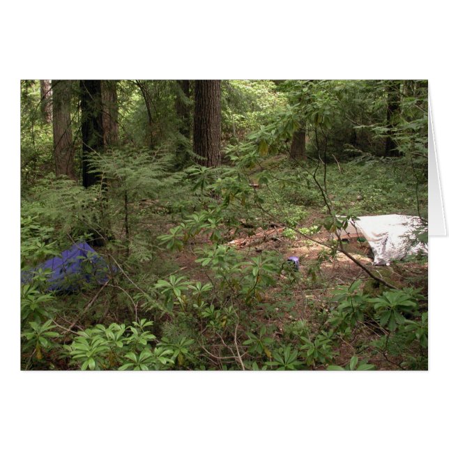 Tents Camping (Front Horizontal)