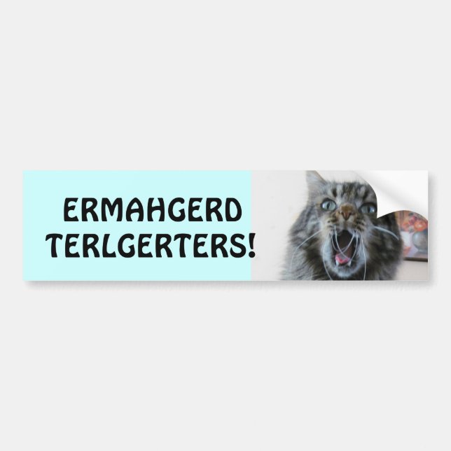 Terlgerters! Ermahgerd! Shocked Kitty Tailgaters Bumper Sticker (Front)