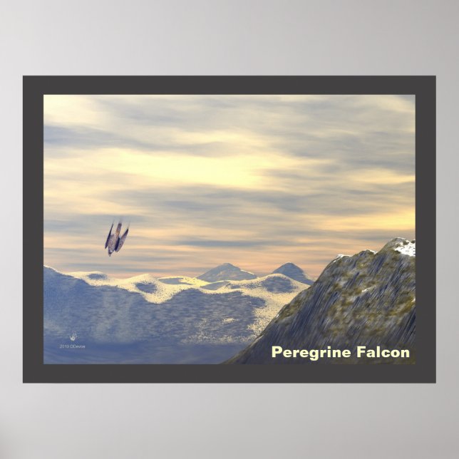 Terminal Velocity Peregrine Falcon Poster (Front)