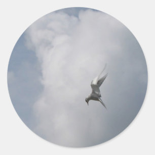 Tern in the Sky stickers
