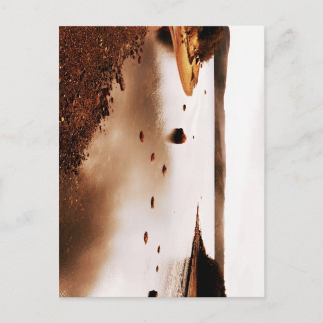 Terra Nova National Park Postcard (Front)