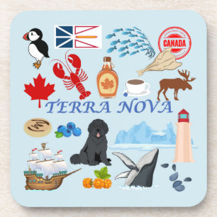 Terra Nova Newfoundland Coaster