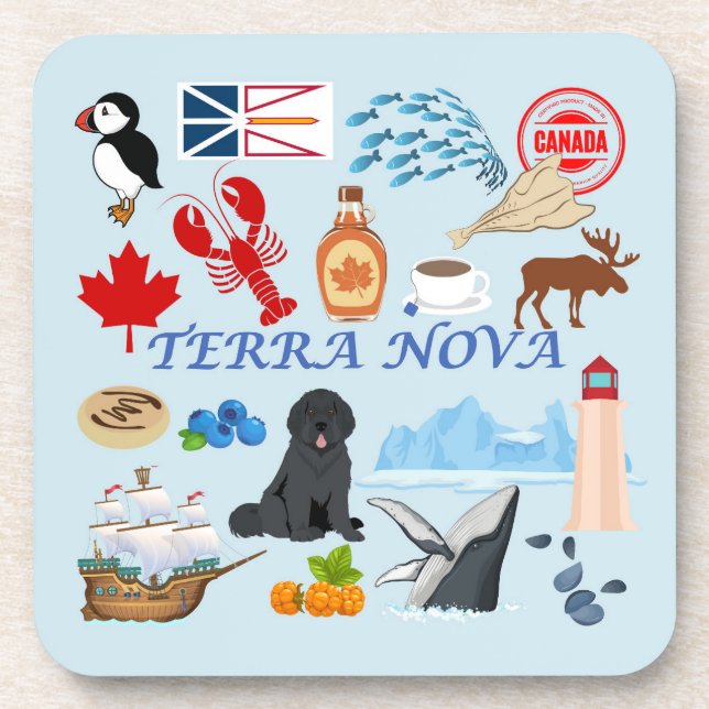Terra Nova Newfoundland Coaster (Front)