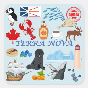 Terra Nova Newfoundland Square Sticker