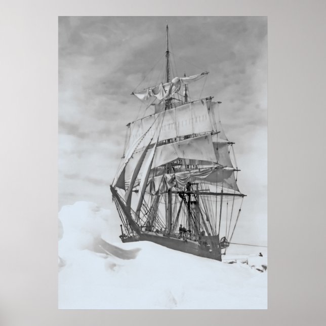 Terra Nova Poster (Front)