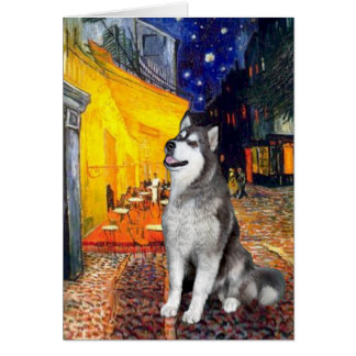 Terrace Cafe - Alaskan Malamute