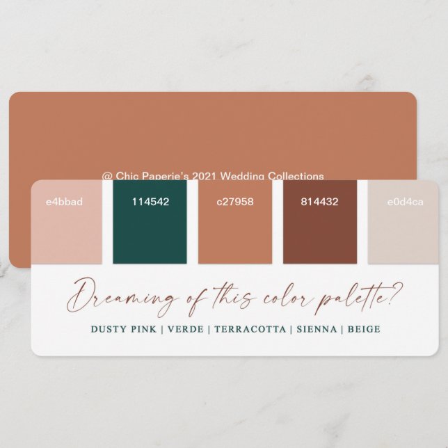 Terracotta & Dusty Pink Wedding Colour Palette Car Invitation (Front/Back)