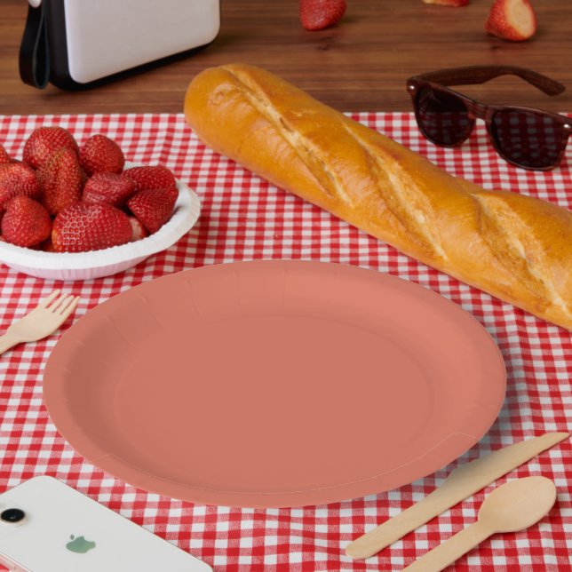 Terracotta  paper plate (Picnic)