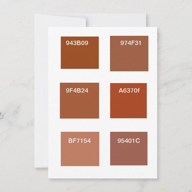 Terracotta Rust Colour Swatches Invitation (Front)