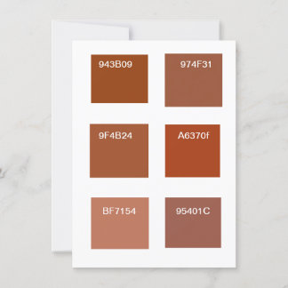 Terracotta Rust Colour Swatches Invitation