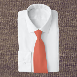 Terracotta Solid Colour Tie