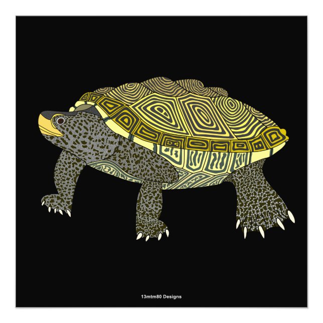 Terrapin (black) - Photo Print (Front)