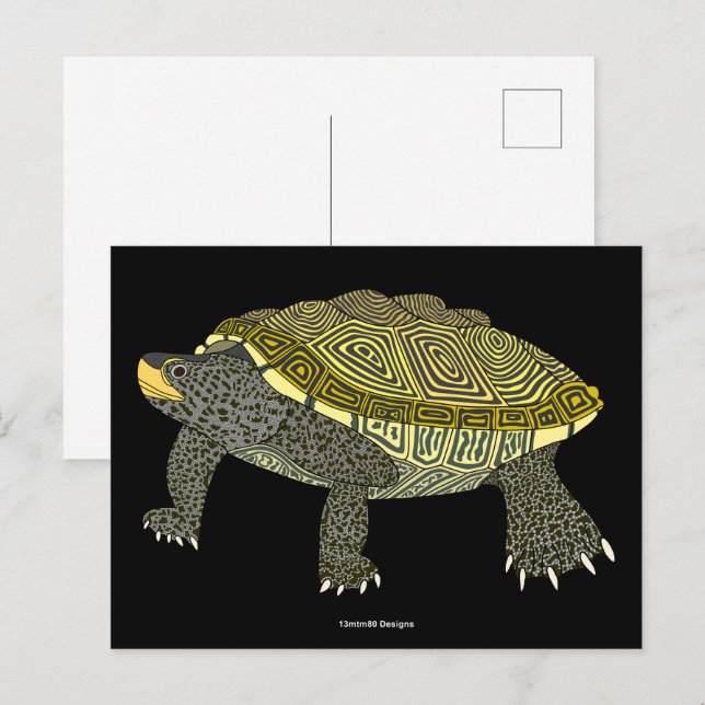 Terrapin (black) - Postcard (Front/Back)