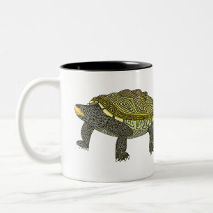 Terrapin - Two-Tone Mug