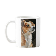 Terrier chihuahua mixed breed dog closeup