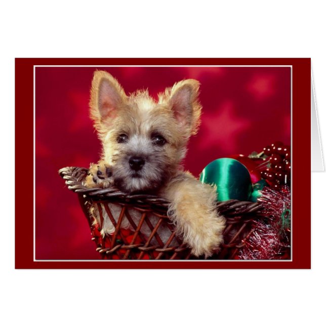 Terrier Christmas (Front Horizontal)