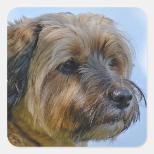 Terrier Design Square Sticker