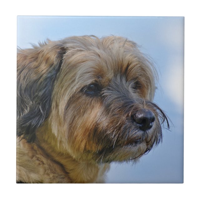 Terrier Design Tile (Front)