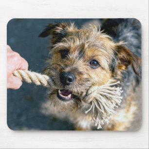 Terrier Dog Playing Tug of War Mouse Mat