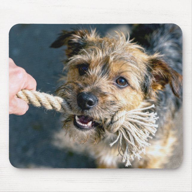Terrier Dog Playing Tug of War Mouse Mat (Front)