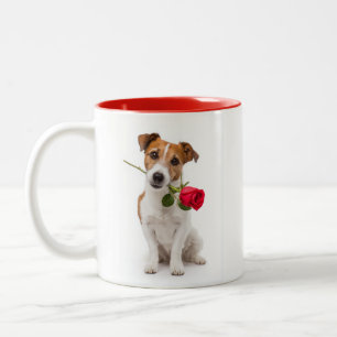 Terrier Love Two-Tone Coffee Mug