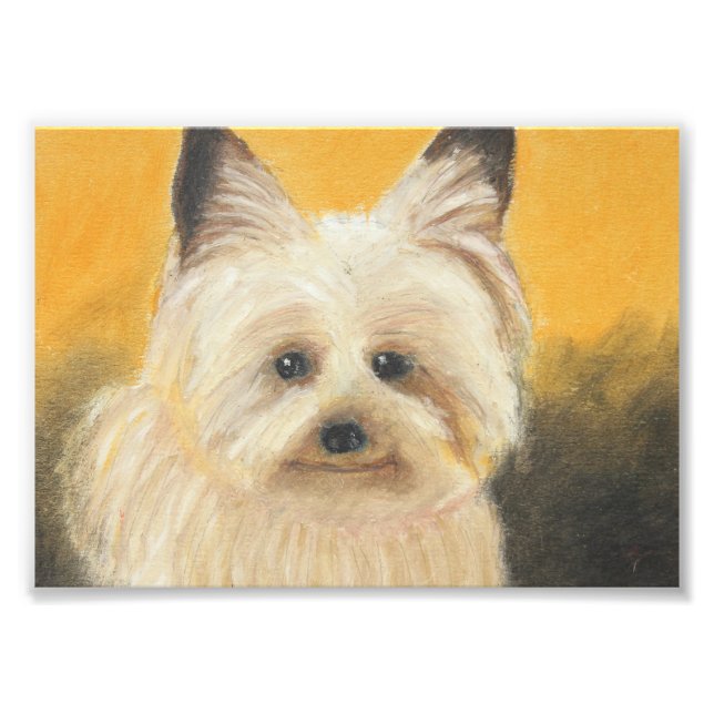 Terrier Photo Print (Front)