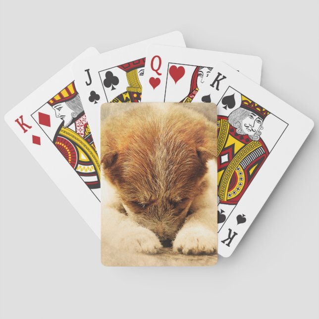 Terrier Playing Cards (Back)