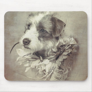 Terrier pup on mouse pad