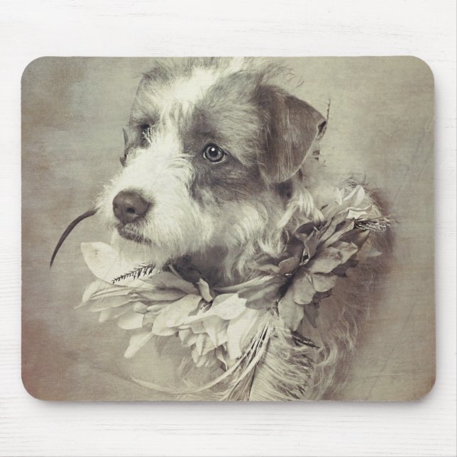Terrier pup on mouse pad (Front)